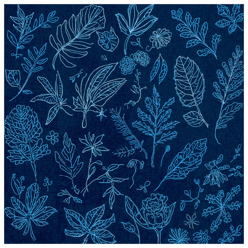 Rideaux de douche Botanical Leaf Sketches, 70 po l x 72 po H