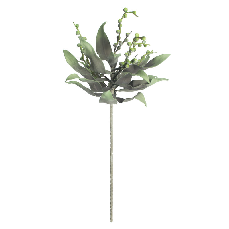 Botanica Stem