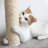  PETMAKER 4-Tier Cat Tower with Scratching Post
