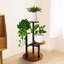 Plant Stand