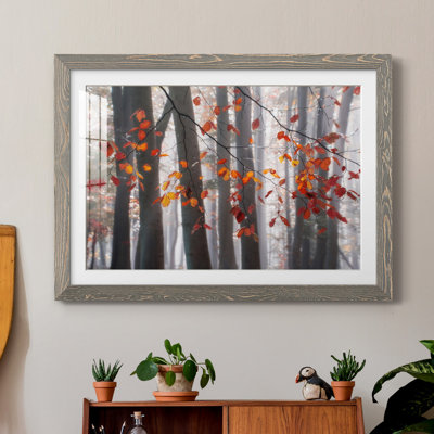 Falling Moments - Reproduction de photo sur papier encadrée