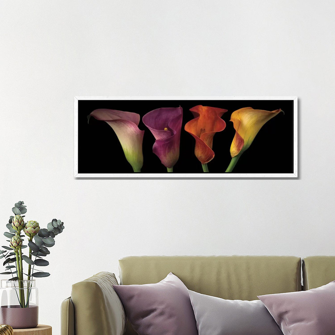 Leinwandbild Jewel Calla Lilies von Assaf Frank