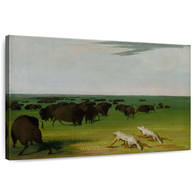 Brampt Buffalo Hunt Under Wolf-Skin Mask
