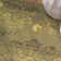 Wachusett Performance Oriental Rug