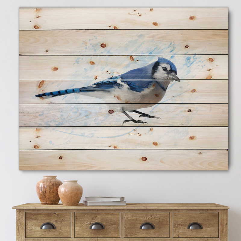 " Vintage Blue Jay Bird " Painting Print, 15" H x 30" W x 0.78" D