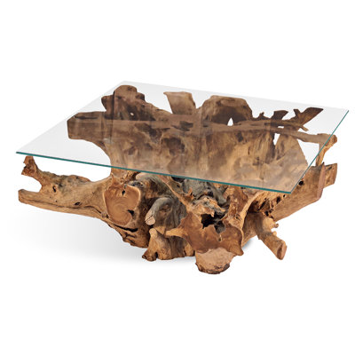 Glass Top Single Coffee Table