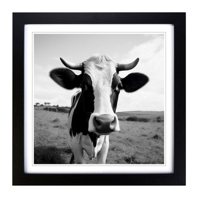 Cow Photograph - Framed Print