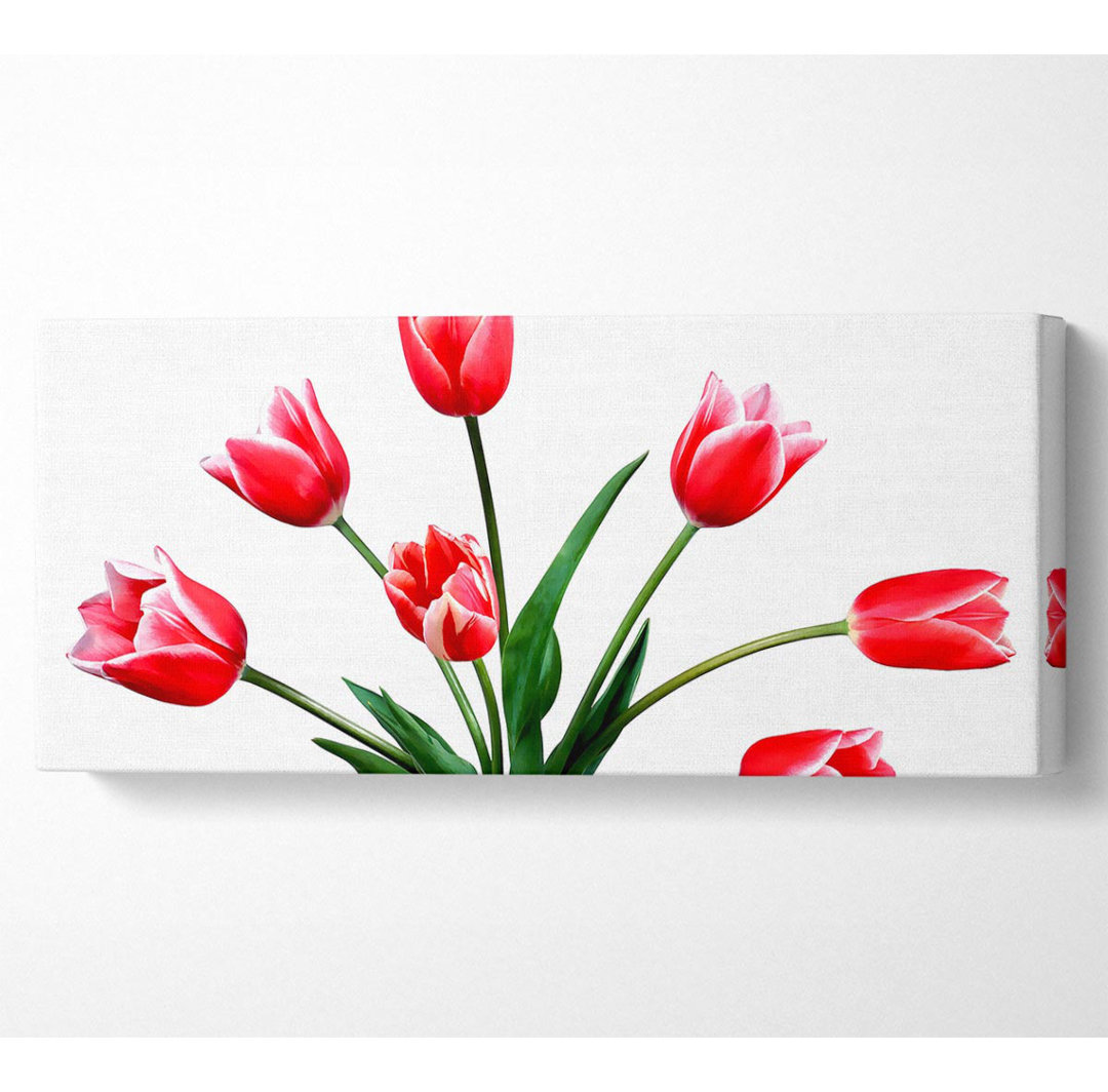 Rote rosa Tulpen - Panorama-Kunstdrucke auf Leinwand