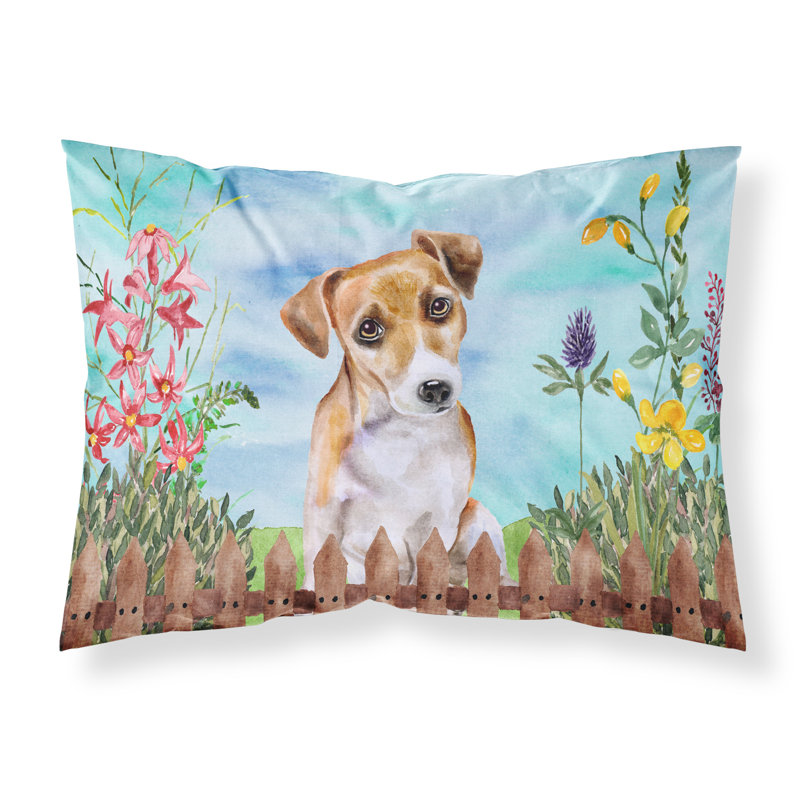 Alaskan Microfiber, Jack Terrier