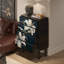 Armoire de rangement rétro