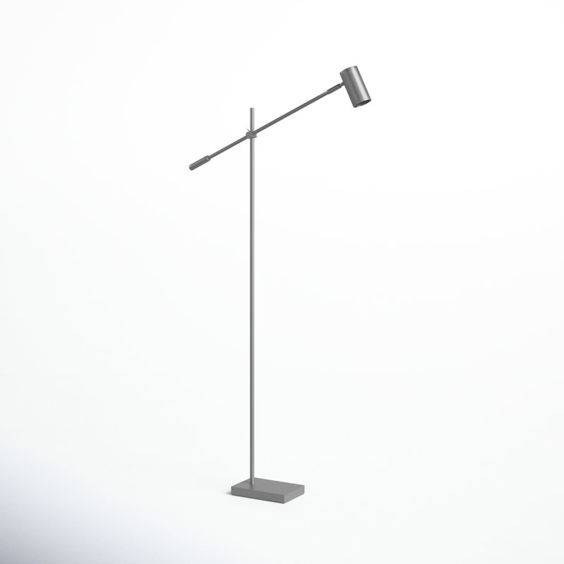 Flemings 63'' LED Task Floor Lamp, Brushed Steel