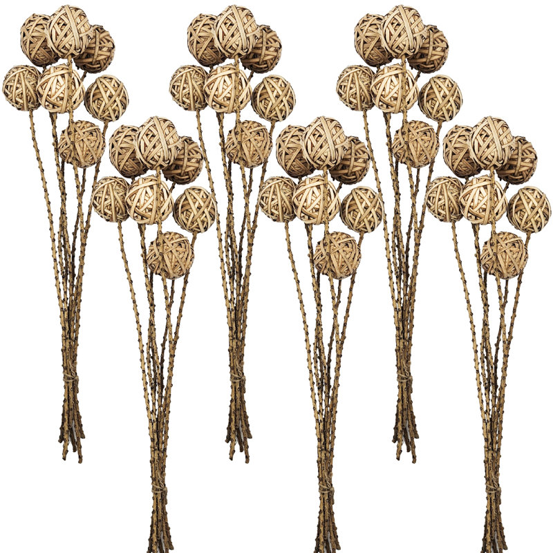 7 Piece Cane Ball Twig Stem   Set of 6   23.5"   Natural