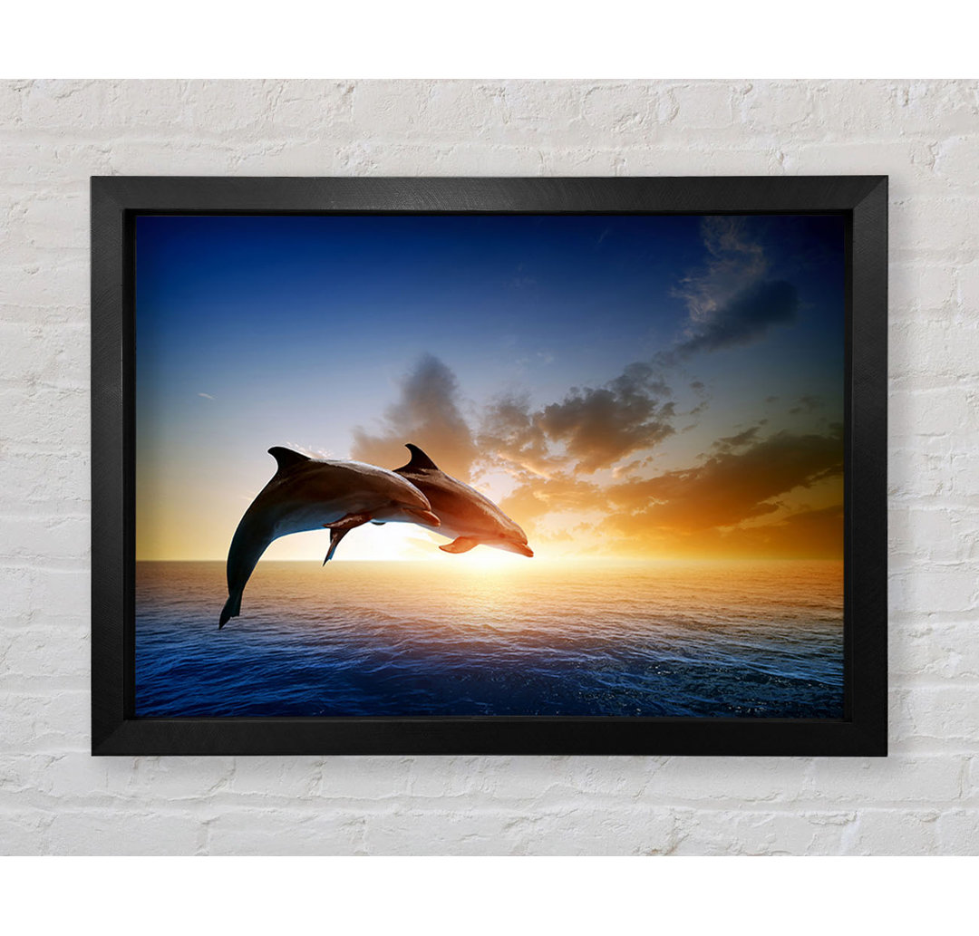 Gerahmtes Poster Jumping Sunset Dolphins