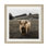 Bernie the Highland Cow - Framed Art Photograph Print Matted under Glass