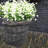 Mixed Assortment Arrangement-1616388577