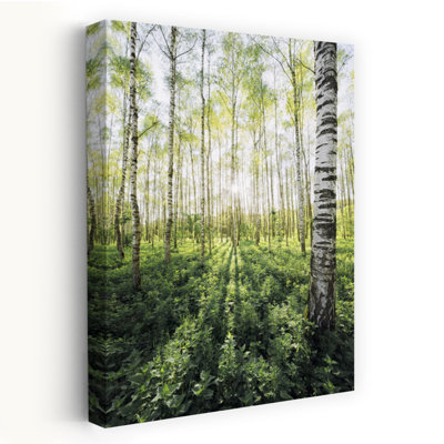 Impression d'art mural Birch Grove