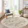 Vintage Distressed Non Slip Washable Rug(Brown)