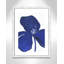 Clarisse Indigo Petal II - reproduction de cadre photo sur papier-56094628-56094627