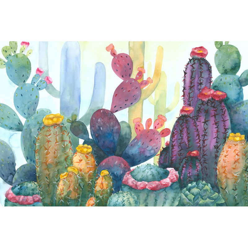 Colourful Blooming Cacti - Wrapped Canvas Print, 30cm H x 46cm W x 3.8cm D