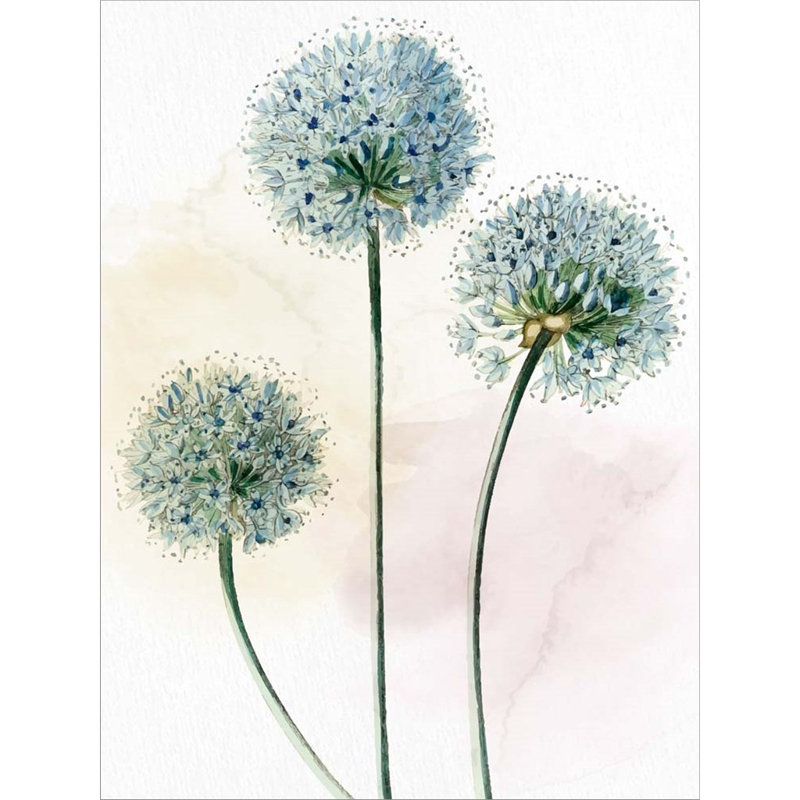 «Watercolor Dandelion» par Kimberly Allen - impression encadrée