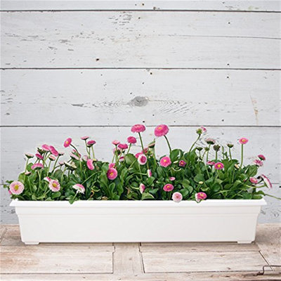 Plastic Planter Box