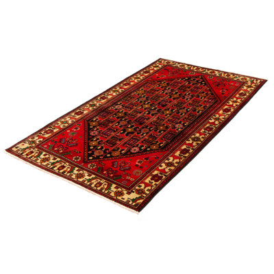 Croci Wool Oriental Indoor Rug