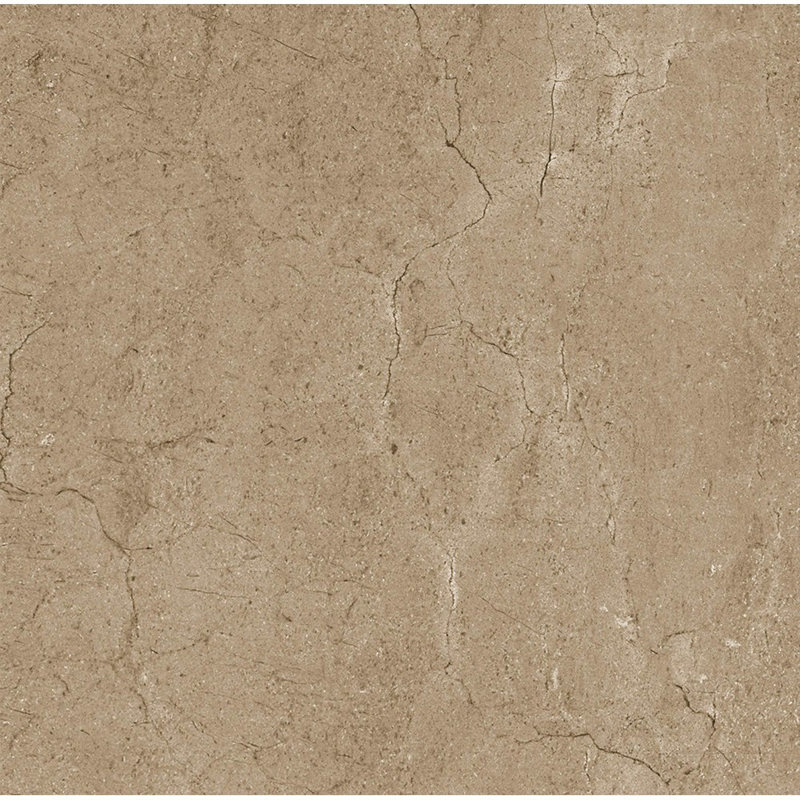 Marfil 5.8 in. x 5.8 in. Glossy Porcelain Tile, Noce