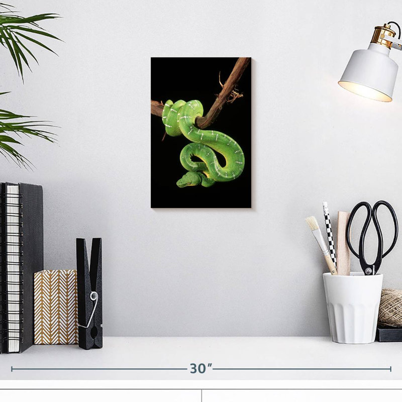 Brampt Hanging Emerald Tree Snake, 12" H x 8" W