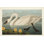 " Pl 411 Common American Swan " by James Audubon Painting Print