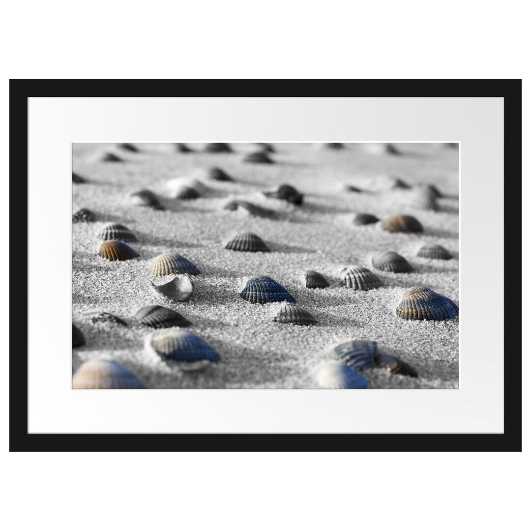 Muscheln im Sand Gerahmter Fotokunstdruck Poster