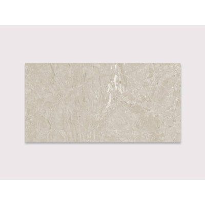 Domo Grigio Chiaro 24" x 48"