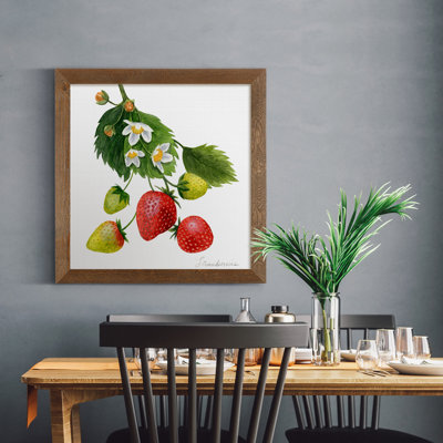 " Strawberry Study I "