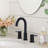Widespread 2-handle Bathroom Faucet with Drain Assembly-103560080