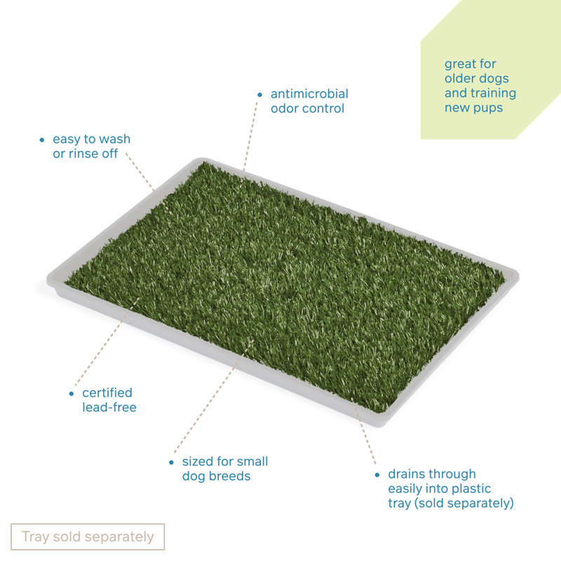 Cieanna Pet Bed, Small (0.5" H x 15.13" W x 21.63" D)