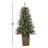 Potted 4' Pre-Lit Pine Christmas Tree