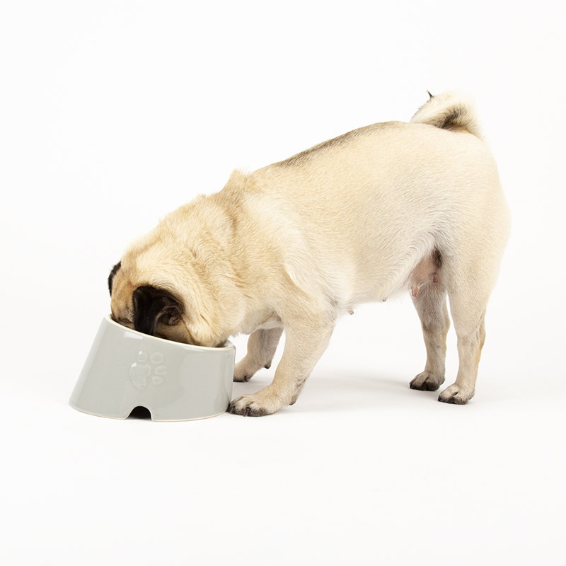 Pet Bowl