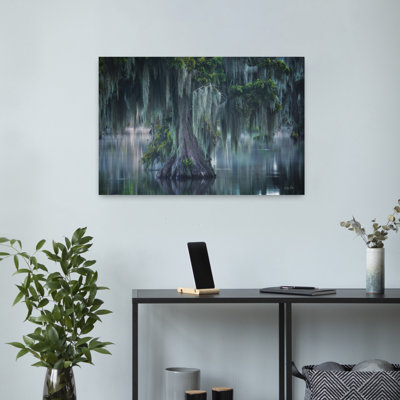 Rideaux de mousse, art contemporain de paysage de cèdre contemporain