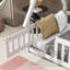 Lit plateforme standard en forme de tente Arik Kids par Harper Orchard-1688673455-1687951740