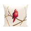  Housse et insert pour coussin Cardinal-19815448