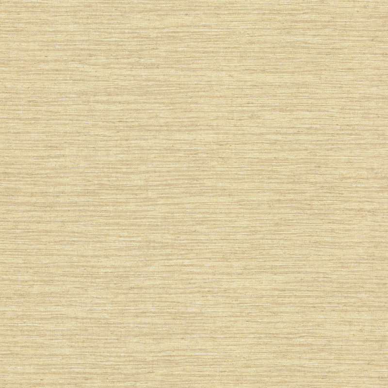 Rouleau de papier peint l 27 po x l 27 po faux grasscloth Ilya