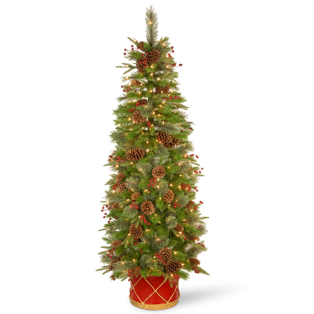 6 ft. Colonial Slim Half Tree with Clear Lights The Holiday Aisle®