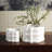 Crescent Printed Vase-Matte White-Sm-119364165