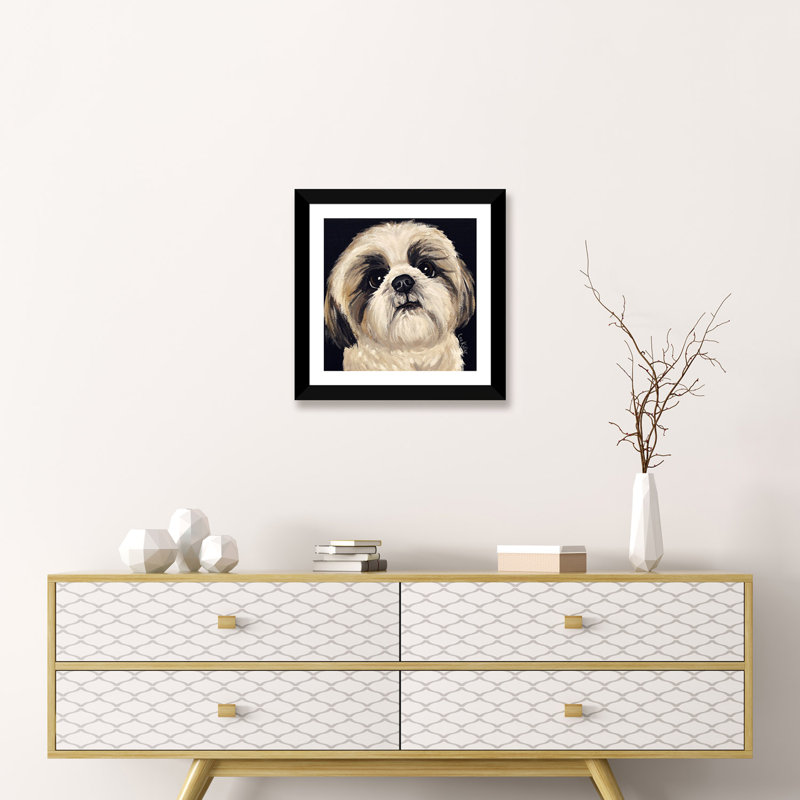 «Shih Tzu On Black I», reproduction de photo, Papier noir, H 24 po x l 24 po x p 1 po