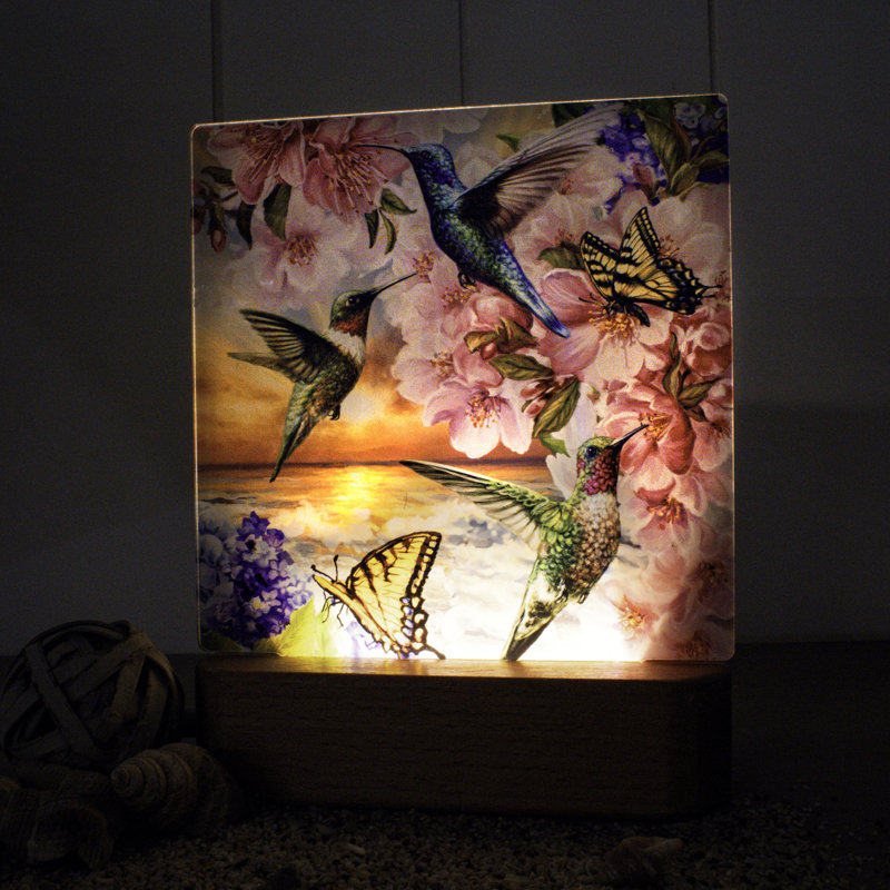 Veilleuse colibri au coucher du soleil