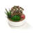 Archie-Jay Ceramic Pot Planter