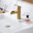Single Hole Bathroom Faucet with Drain Assembly-86634267