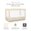 Harlow 3-in-1 Convertible Crib-473477418