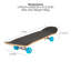 Toyrific Skateboard