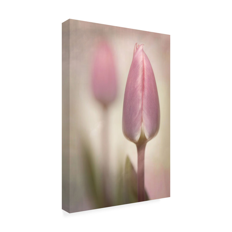 Tulipes roses modernes et contemporaines, H 19 po x l 12 po x P 2 po