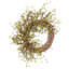 26" Spring Grapevine Wreath for Front Door-584722433